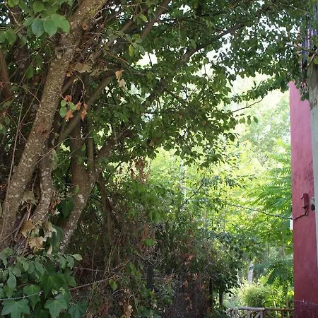 El Balcón Del Huéznar *