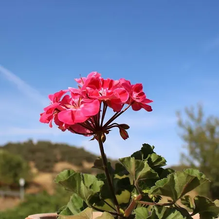 El Balcón Del Huéznar Cazalla de la Sierra